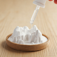 Mini diffuseur d'huiles essentielles en pierre de diatomite de montagne, petit ornement de bureau créatif pour la maison et le bureau, avec support en bois