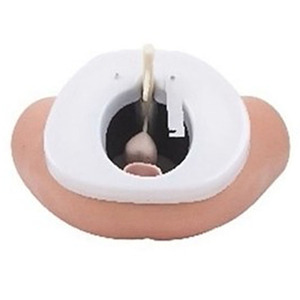 Hot bán tuyến tiền liệt giải phẫu mô hình con người y tế khoa học đào tạo giáo dục giảng dạy PVC giải phẫu tuyến tiền liệt mô hình - Product Image 3