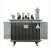 Transformateur à noyau amorphe S22 sur mesure OEM, 3 phases 110 kV 1000 kVA, bobinage en cuivre, refroidissement ONAN pour la rénovation de l'énergie rurale