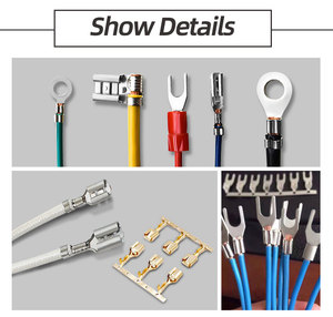 Mesin <span class=keywords><strong>Crimping</strong></span> Terminal Molex/JST Presisi Tinggi 2T untuk Kabel Pabrik - Product Image 6