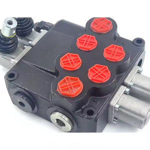 Vannes monobloc P120 du fabricant Pièces de machines de construction manuelles-Vente en gros et sur mesure disponibles - Product Image 5