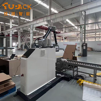 Paletizador Robótico Colaborativo de Fácil Operación con Programación Gráfica PLC, Alta Capacidad, Instalación Rápida en 2 Horas