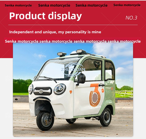 Triciclo Eléctrico de Carga Práctico para Adultos, Venta al Por Mayor - Product Image 6