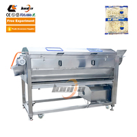 Nouvelle ligne de production semi-automatique de 100 kg à 200 kg pour chips et frites de pommes de terre, haute efficacité, facile à utiliser