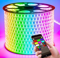 4 dans 1 RGBW flexible led bande Smd 5050 60leds/m 24V 12V AC 220V 110V led lumière de bande imperméable à l'eau en plein air a mené la lumière bande