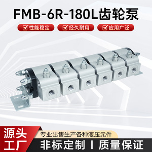 Bomba de Engranajes FMB FMB-6R-180L, Bomba Hidráulica Eléctrica Síncrona de Alto Flujo, Desplazamiento de 180 cm³ - Product Image 5