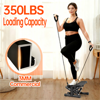 Vente directe d'usine, nouveau design, mini stepper réglable à 11 niveaux de résistance, stepper torsadé avec corde