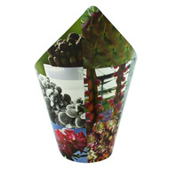 Couvre-pot en plastique pour plantes, emballage de pot, décoration de pot, revêtement de pot de jardin