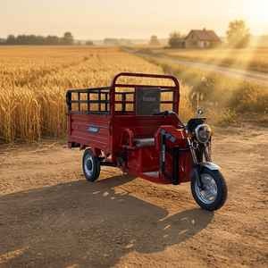 Mobile Vendor Tricycle Cargo Carrier Tall <b>Rail</b> <b>Bed</b> Side Panel <b>Guard</b> And Seat For Farmstand Restocking Route Stops - Product Image 1