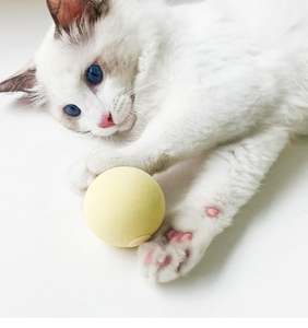 Interaktiver Ball Smart Cat <span class=keywords><strong>Toys</strong></span> Plüsch Elektrische Katzenminze Training Spielzeug Kätzchen Touch Sounding Pet Produkt Quietschen Spielzeug ball