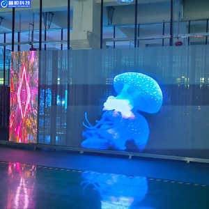 Pushunled haute luminosité 800cd/m² intérieur mural affichage publicitaire 16bit gris échelle fixe Transparent LED magasin de détail - Product Image 5