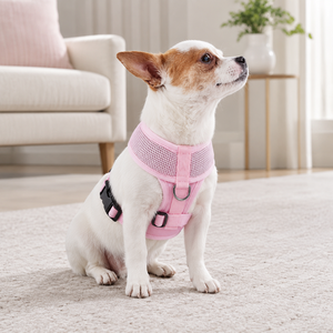 <span class=keywords><strong>Pettorina</strong></span> per Cani in Rete Traspirante Comoda e Regolabile per Passeggiate Quotidiane e Uso <span class=keywords><strong>Casual</strong></span> all'Aperto - Product Image 2
