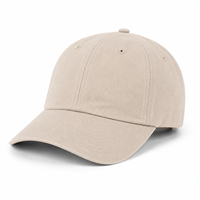 Casquette de baseball en coton uni avec logo personnalisé, casquette de papa, visière incurvée réglable, logo OEM, marque privée, vente en gros, LOSTCAPS