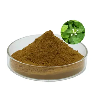 Hot Sale 20:1 Melissa Officinalis Extract Lemon Balm Leaf Extract Powder