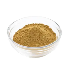 CSBIO Food Grade bahan murni 10 1 20 1 bubuk ekstrak kulit kayu manis ekstraksi minyak kulit kayu manis