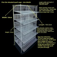 Cages métalliques pour cailles et perdrix à hauteur ajustable, avec système d'évacuation automatique du fumier, conception tridimensionnelle, alimentation/abreuvement automatiques