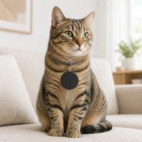 Traceur GPS pour animaux de compagnie, anti-perte, balise intelligente, localisateur d'objets, Bluetooth, portable, collier pour chien et chat, pour petits animaux