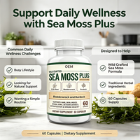 OEM Capsules de Mousse de Mer Sauvage Plus, 60 unités, Mélange avec Mousse d'Irlande, Fucus vésiculeux et Racine de Bardane