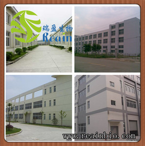 Nhà máy trực tiếp cung cấp chất lượng hàng đầu đuôi ngựa chiết xuất đuôi ngựa chiết xuất cỏ chiết xuất bột - Product Image 4