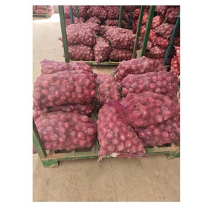 Cebollas Redondas Naturales Frescas al Por Mayor Exportaciones Cebollas Rojas Frescas Picante y Deliciosas a Bajo Precio - Product Image 4