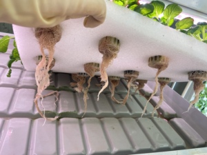 Sistema de Cultivo Hidropónico Multicapa para Forraje, Trigo y Cultivos Aeropónicos, Mesa de Cultivo Vertical Móvil con Sistema de Flujo y Reflujo - Product Image 4