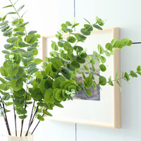 Haute qualité artificielle vraie touche vert eucalyptus argent feuilles branche feuille tiges pour mariage maison fête Table décoration
