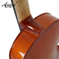 Violon électro-acoustique Sinomusik rouge-brun avec micros, étui, archet et étiquette personnalisée – Prix abordable