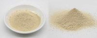Poudre de Urolithine A Liposomale 98% en Vrac, CAS 1143-70-0, Poudre Nano Liposomale de Urolithine-A pour Capsules et Nutraceutiques