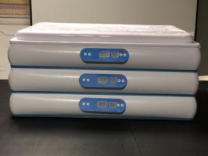 Máy Ấp Trứng Tự Động Hoàn Toàn/Máy Ấp Gà Cobb 500 - Product Image 4