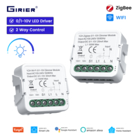 GIRIER Tuya Universal DIY Breaker Relay untuk DC0-10V Light Driver ZigBee/WiFi Smart Dimmer Switch Module