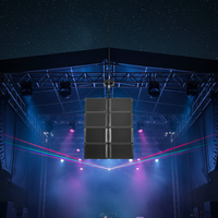 Sistema de Sonido Line Array de Tres Vías de 12 Pulgadas, Doble, para Escenarios Grandes, Profesional, Inalámbrico, para Exteriores, Pasivo, Neodimio, 2200W, Madera de Abedul Rusa