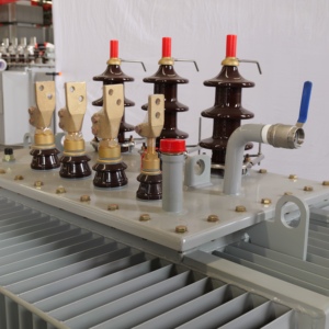 Transformateur de distribution immergé dans l'huile 630 kVA 10 kV à enroulement en cuivre, faible perte, norme IEC (S13), transformateur MT/HT S13 populaire - Product Image 2