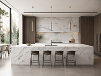 Dalles de marbre Calacatta Venato pour comptoirs de cuisine, meubles de salle de bain, escaliers, tables basses et panneaux muraux grand format