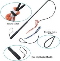 Bâton de jeu extensible pour animaux de compagnie, baguette interactive pour chiens, jouet de poursuite pour chiens de petite, moyenne et grande taille, pour l'entraînement et le jeu