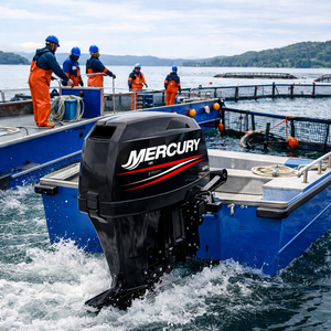 <span class=keywords><strong>Moteur</strong></span> <span class=keywords><strong>hors</strong></span>-<span class=keywords><strong>bord</strong></span> marin Mercury ME 40MH ME 40MLH 40HP 2 temps pour bateau de travail en aquaculture - Product Image 3
