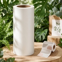Film biodégradable compostable, film de laminage thermique respectueux de l'environnement, dégradable, finition mate ou brillante pour l'emballage des boîtes