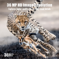 Caméra solaire CMOS 4G LTE KW897 pour la sécurité extérieure, la chasse, la vision nocturne, la surveillance des sentiers, 4K WIFI 1080p, carte SD, 36MP, IP67, étanche, 2,4 pouces
