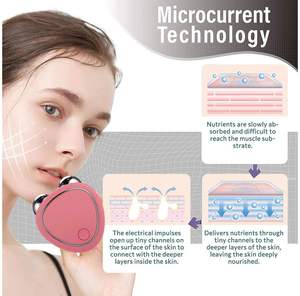 Appareil de tonification du visage à microcourant EMS, anti-âge, rajeunissement de la peau, rouleau de massage pour le lifting du visage, pour usage domestique - Product Image 4