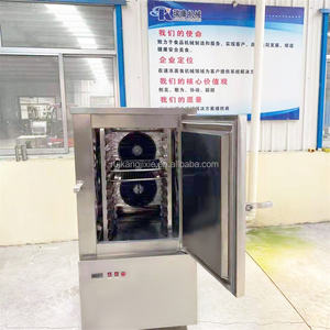 Freezer Cepat Kecil 10 Rak Makanan Beku Baja Tahan Karat Kontrol Suhu Akurat Pintu Tunggal Suhu Rendah - Product Image 4