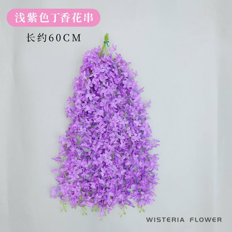 10 orchidées violet clair