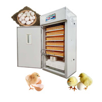 Incubateur à haute productivité limitée pour 60 000 œufs, machine d'éclosion de 19 712 œufs, entièrement automatique