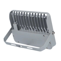Ip65 120lm/W 24V 48V projecteurs extérieurs Module séparé LED lumière d'inondation 50W 100W 150W 200W pour aire de jeux de rue scène de pêche