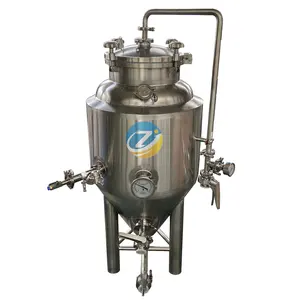 Zj Distilleerderij Machines Fabriek 100L Rvs Conische Bier Vergister Ce Gecertificeerd Bier Gistingstanks