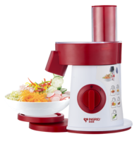 Salata yapımcısı
