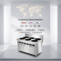 Cuisinière à induction en acier inoxydable de haute qualité pour cuisine et restaurant, puissance élevée, qualité commerciale, économie d'énergie
