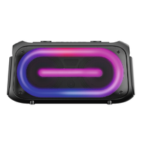 Proveedor Mayorista con MOQ Bajo, Altavoz Bluetooth de 100W RMS, Molde Privado OEM ODM, Logotipo Personalizado, Caja Colorida, CE RoHS