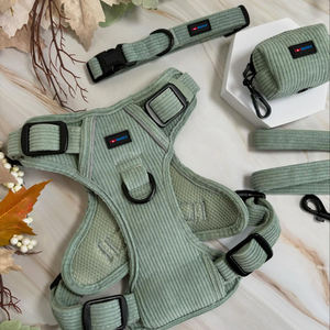 メーカーカスタム おとぎ話テーマ 犬用首輪 リード 引っ張り防止ハーネスセット カボチャの馬車と城柄デザイン ペット向け - Product Image 5