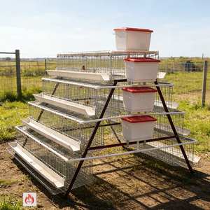 Oferta Exclusiva: Jaula Automática Ahorradora de Espacio para Gallinas Ponedoras, Jaula de Batería para Gallinas, Gallinero para Brasil - Product Image 1