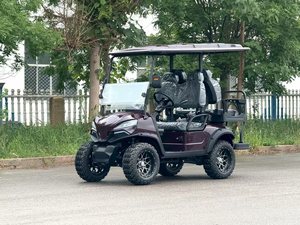 Nouvelle Voiturette de Golf Électrique avec Écran Tactile, Boîte de Transport, Utilitaire Agricole, Club Car, Batterie 72V, Autonomie 3-4 90km, Certifiée CE, Freins à Disque Avant - Product Image 2