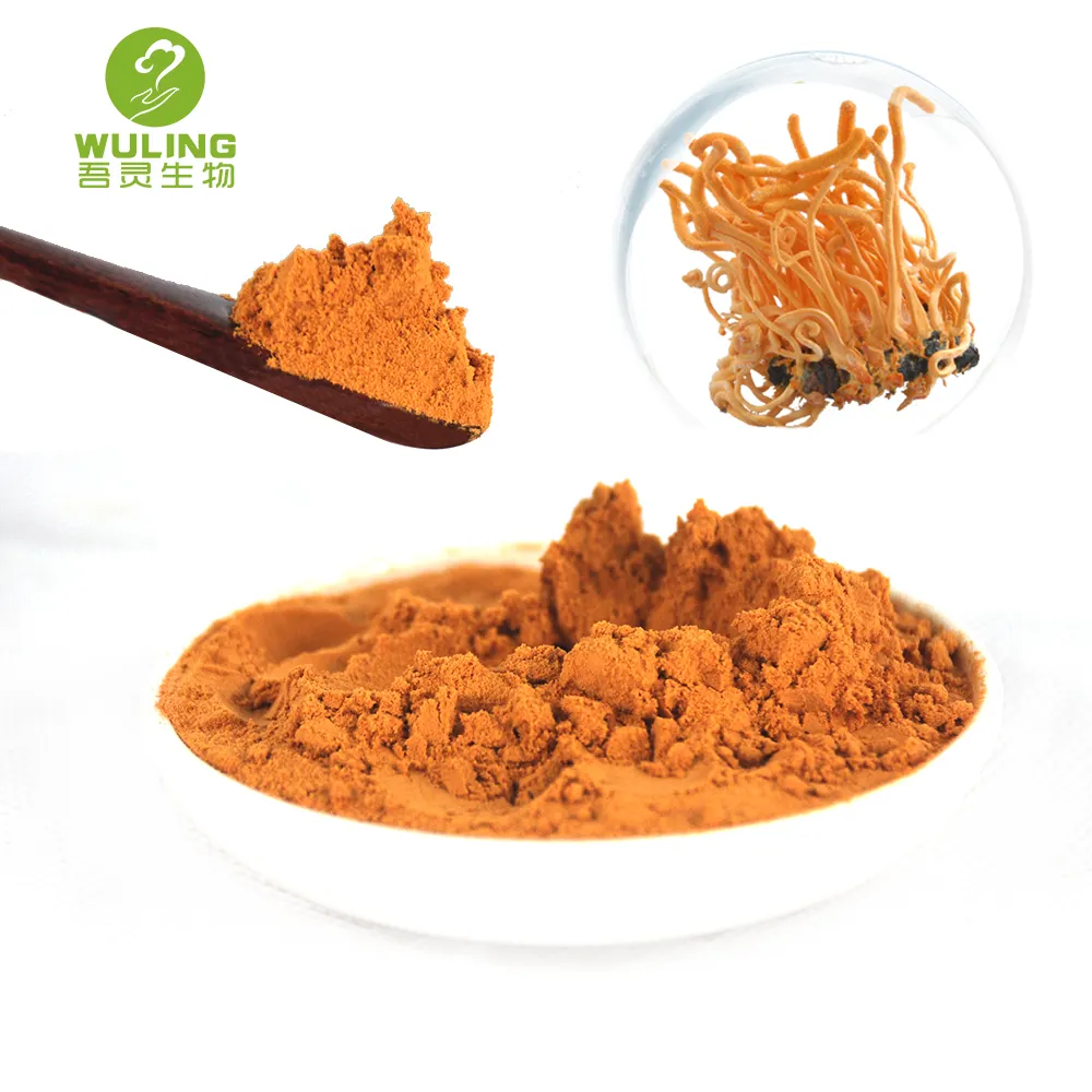 Hot Verkoop Cordyceps Militaris Paddestoel Fruit Body Polysaccharide Beta Glucan Extract Poeder